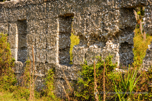 Sapelo 2012