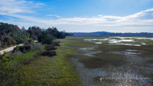 Sapelo 2018