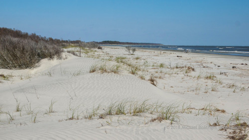 Sapelo Island