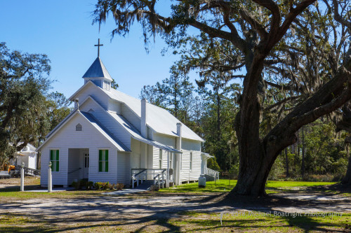 Sapelo 2018