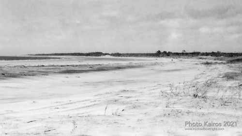 Sapelo 2021