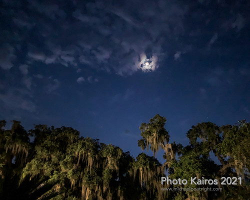 Sapelo 2021