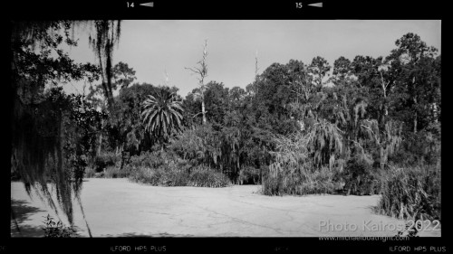 Sapelo 2022