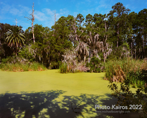 Sapelo 2022