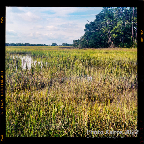 Sapelo 2022