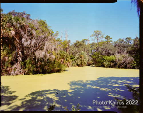 Ecological Habitats