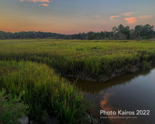 Sapelo 2022