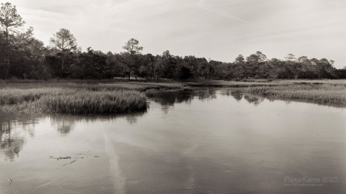 Sapelo 2023